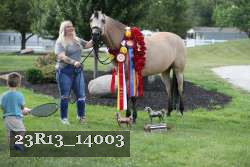 23R13_14003 thumbnail